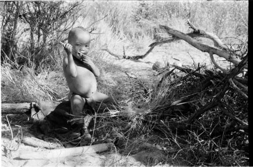 N!whakwe sitting on a log