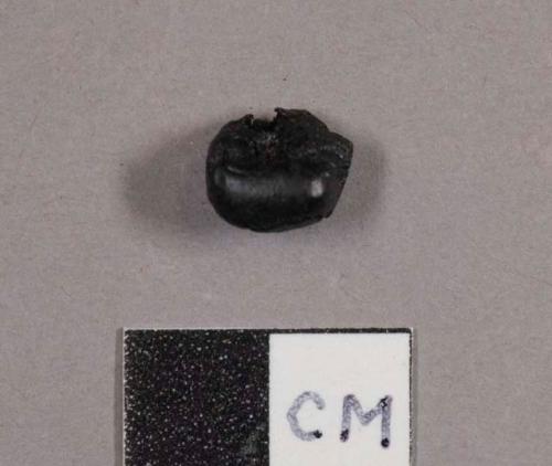 Kernel of corn, charred, selected from 25-11-10/95164 for analysis