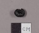 Kernel of corn, charred, selected from 25-11-10/95164 for analysis