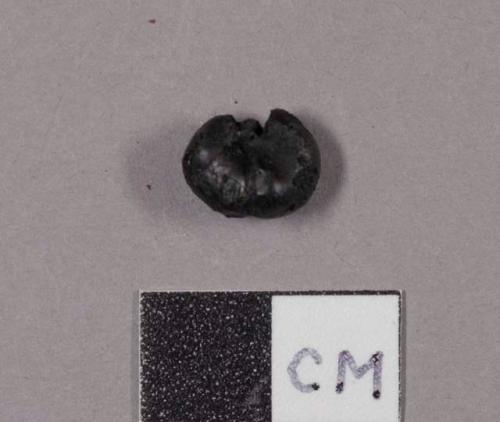 Kernel of corn, charred, selected from 25-11-10/95164 for analysis