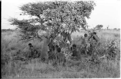 Oukwane's group and "visiting group" under a tree where visitors are starting to make their werft