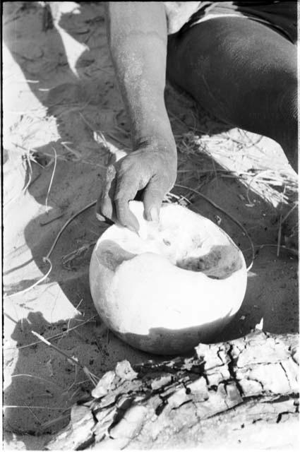 Close-up of a tsama melon held by a person's hand