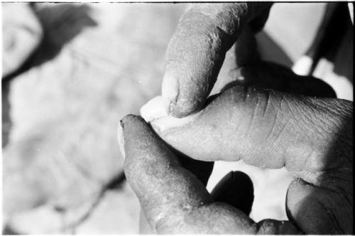 Person's fingers holding beetle larva