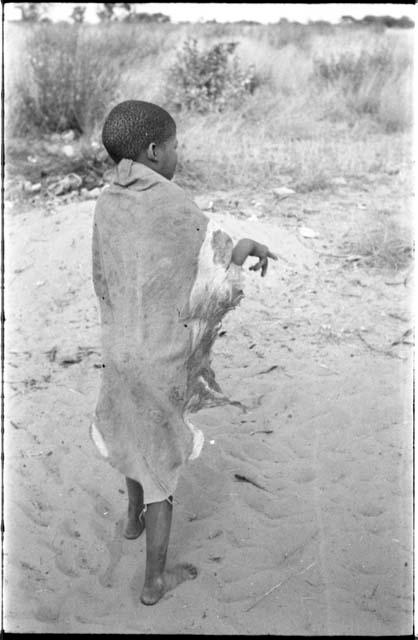 Boy in kaross, full figure standing, seen from behind