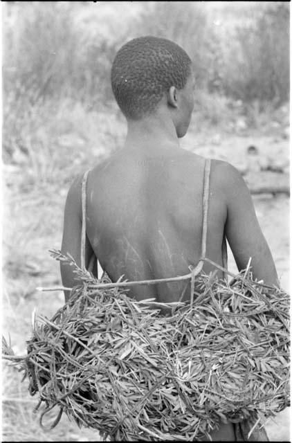 Half-figure portrait of !Gai with a carrying net over shoulders, seen from the back