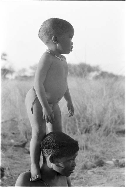 N!whakwe standing on his mother Tsekue's shoulder to look over the grass to see what was making noise