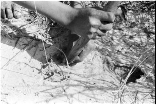 Person's hands setting up a snare