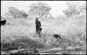 Man walking with a dog in the grass