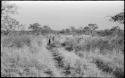 Children walking down a track the expedition trucks made in the grass