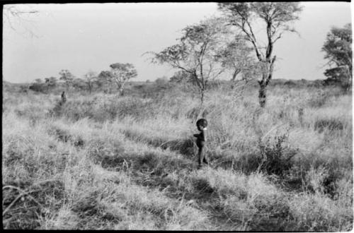 Di!ai's son /Gaishay standing in the grass