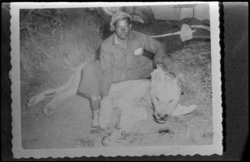 Heinrich Neumann with dead lion (copy of Polaroid photograph)