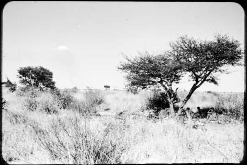 Group of people sitting under a tree, with a cloud in the sky (copy of slide 2001.29.4364)