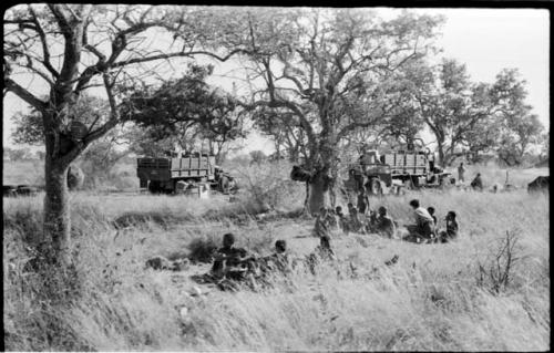 Group of people sitting under a tree, with expedition trucks in the background