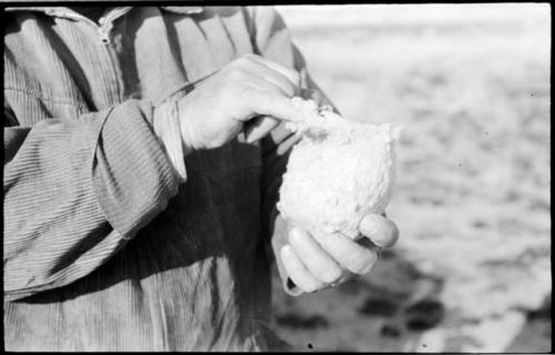 Person holding a penduline tit nest, showing the opening of the nest