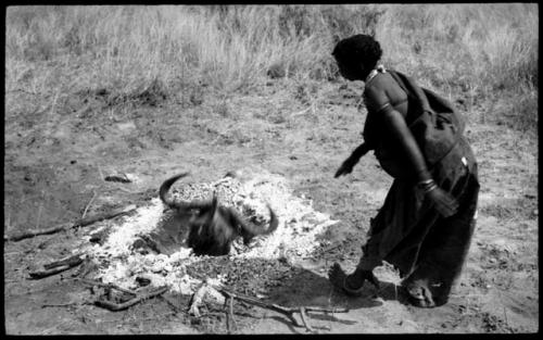 Di!ai placing a wildebeest head into a hole with coals