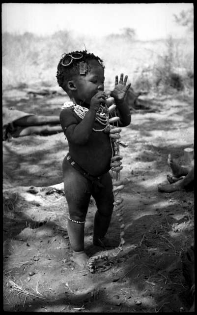 ≠Toma (Khuan//a's son) holding dance rattles