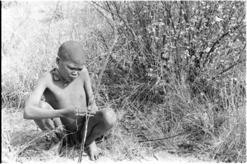 !Oukabe crouched beside saplings, full figure