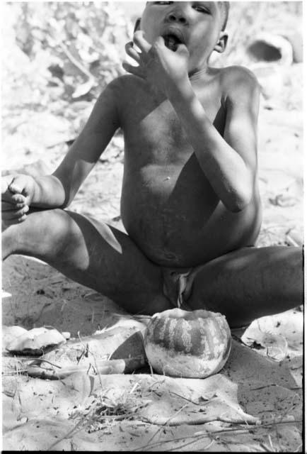 Boy eating tsama melon, seated