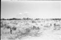 Boys playing in the veld, seen from a distance