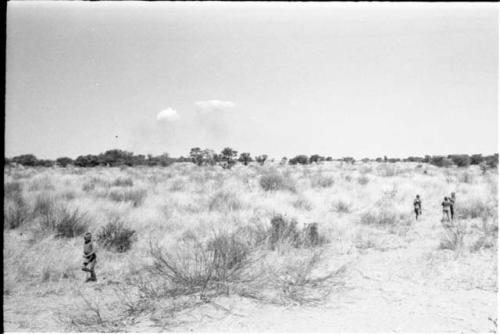 Boys playing in the veld, seen from a distance