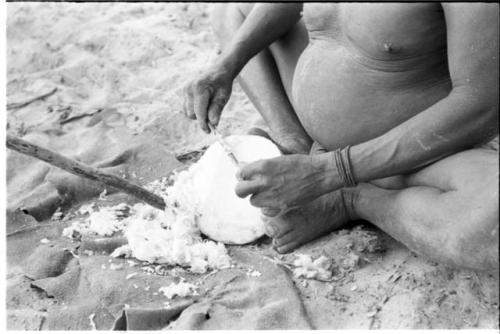 Close-up of Oukwane's hands scraping a water root