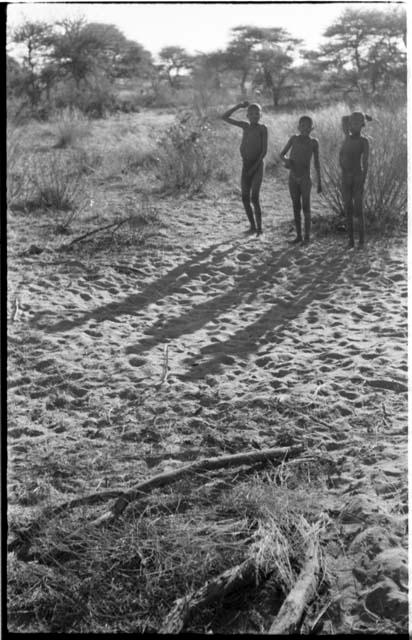 Three boys dancing, seen from a distance