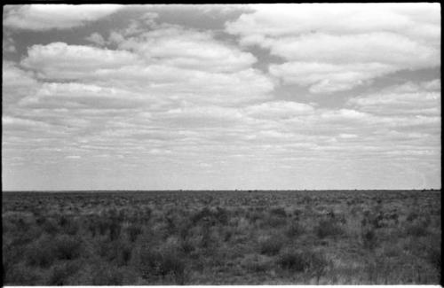 Landscape of the veld