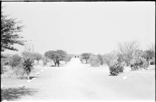 Avenue to Administration Office at Ghanzi