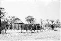 Two huts with a grass fence