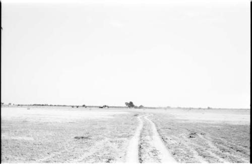 Distant view of road and houses on the way towards Lake Ngami