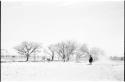 Distant view of man on horseback in front of trees