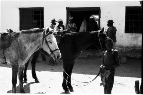 People and horses standing in front of a building