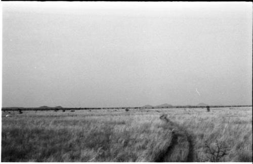 Track through grass and distant hills