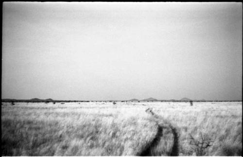 Track through grass and distant hills