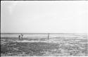 Elizabeth Marshall Thomas, Casper Kruger, and John Marshall, who is holding a gun in his hand, wading in Lake Ngami