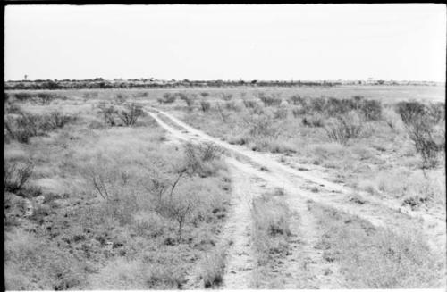 Road tracks made by the expedition's trip to fetch wood