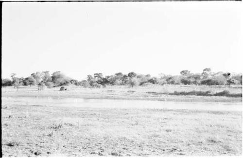 Taoge River between Sehitwe and Tsau