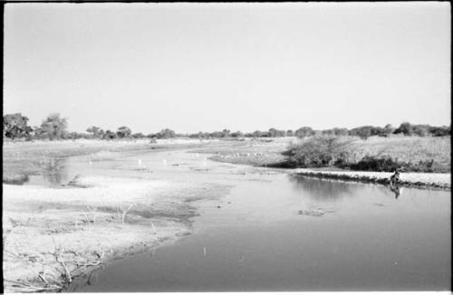 Taoge River between Sehitwe and Tsau