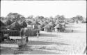 Distant view of huts at Tsau