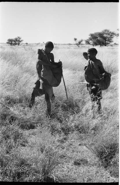 /Twikwe and DaSi!Na gathering tsama melons in a field, /Twikwe putting a melon in her kaross