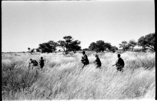 Group of five people in the grass looking for tsama melons