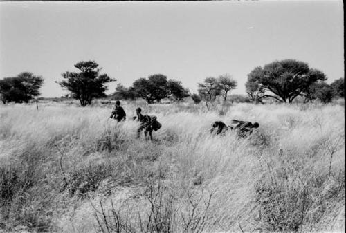 Group of five people in the grass looking for tsama melons