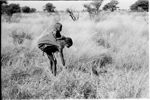 Tsekue with N!whakwe on her back leaning over to pick up a tsama melon