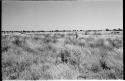 Landscape with Robert Story in the distance