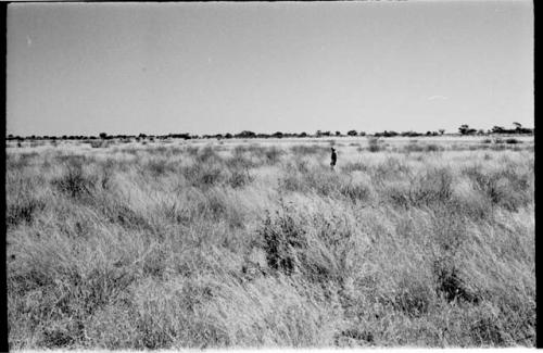 Landscape with Robert Story in the distance