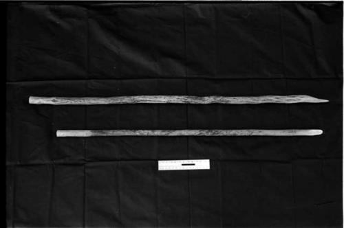 Two digging sticks on a black background, with a ruler for measurement