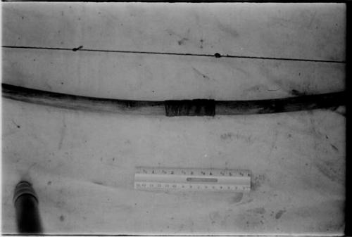 Mid-section of bow, with a ruler for measurement against white background, showing hand-grip of thong