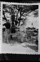 John Marshall standing on a table with a camera on a tripod, Laurence Marshall and an expedition member holding the tripod