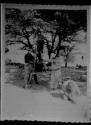 John Marshall standing on a table with a camera on a tripod, Laurence Marshall and an expedition member holding the tripod; another expedition member kneeling (image obscured)