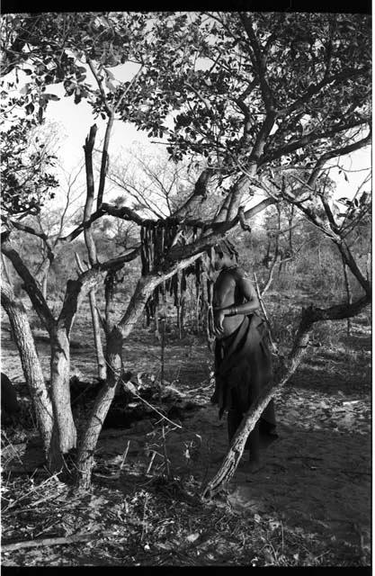 Woman standing by tree branches with meat hanging from it